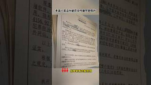 老高小茉罚款文告造假，中共海外抢钱动真格