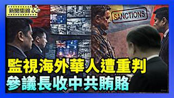 替中共监视澳洲华人 两中国人恐判15年监禁｜破坏台帛关系 帛琉参议长收中共贿赂遭美国制裁【环球直击片段】2026-02-11