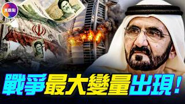阿联酋成最大战争变项！华尔街日报曝其考虑冻结伊朗资产，揭秘伊朗40年影子金融帝国！#真观点 #真飞