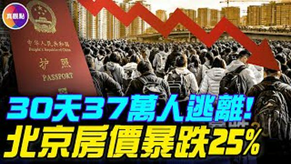 整个国家都在办护照！江浙沪广几十万人大逃离！中国经济七项指标同步恶化！ 2亿人靠打零工生存，中国沦为零工经济国！ 【2026民生实录】#真飞 #真观点