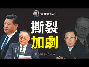 【第156期】习近平抓江泽民「文胆」滕文生的副手董宏，查太子党邓朴方的独立王国中国残联，中共权贵大决裂？| 薇羽看世间 20201010