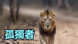 弱智的解释 ⋯ 强者的沈默