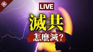 【直播】拜登若退选，贺锦丽接替？川普连任灭中共？总统辩论看甚么门道？美国媒体大乱斗？现场答客问（2020.10.22）｜世界的十字路口 唐浩