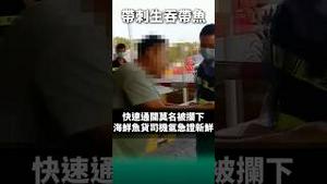 带刺生吞带鱼！向党自证清白！