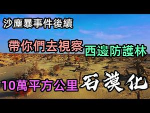 行走在最长流动沙漠公路，视察最西边的防护林|北京沙尘暴后续,寻根三北防护林|遍地都是胡杨林，穿越最大沙漠其实很简单|#防护林#沙尘暴后续#最长沙漠公路#生态系统#CC subtitles added