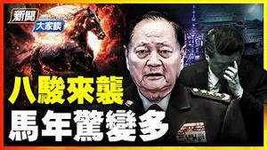 北京大变色 赤马红羊改朝换代；民间八骏来袭，热议不断！秦鹏金石扶摇 马年话马｜ #新闻大家谈
