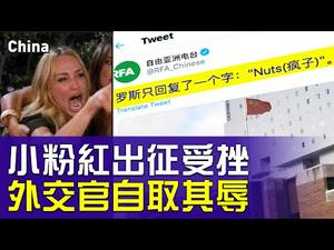 小粉红出征受挫，外交官自取其辱，中共外宣四处碰壁；川普停止资助世卫，国际组织“去共化”开始？ | 横河 赵培 | 热点互动 04/15/2020