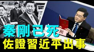 「最新大V承认：秦刚可能于去年离世 ⋯ 只是他觉得中共不该那么狠」No.03（08/13/24） #习近平出事 #秦刚