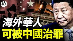 疯狂❗️❗️❗️海外华人也可被治罪,中国2024年1月1日起实施……