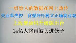 一组惊人的数据在网上热传！失业率失控 ，火山待发，官媒呼吁树立正确就业观！上海健康码升级版实行，14亿人将再被关进笼子(20230710第1073期)