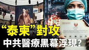 杨幂巨幅照片惹议论，“泰柬”对攻，“中共园区”被轰，柬埔寨求援不成？释放与中共秘密合作的医疗机构内幕名单？｜新闻拍案惊奇