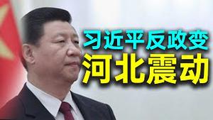 习近平遭遇政变？马云是反习势力重要成员！军警大举攻打大午城。河北震动