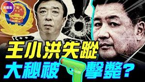 王小洪蔡奇出事？集体失踪10天，大秘董亦军被一枪毙命？！清洗烧到习家军核心圈！#真飞 #真观点
