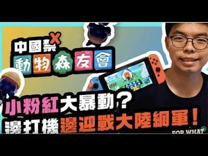 【公子快报】中国下架任天堂游戏「动森」都怪黄之锋？美国禁止互联网光缆接通香港，意味著什么？