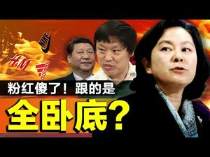 胡锡进替党抓坏人；华春莹“卧底”身份洩露？李克强挺耐克？粉红替党冲锋陷阵，习总带他们进多深的坑？（老北京茶馆/第479集/2021/03/28）