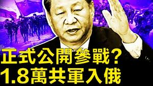 正式公开参战？1.8万共军入俄；全国招募重刑犯，武警训练敢死队；网友互动：这对父女是特务【新闻看点 李沐阳8.24】