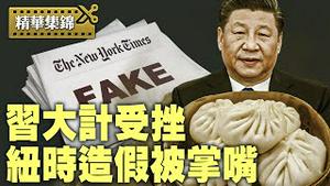 中共两中将落马，习近平再挫败？纽约时报被自家受访者打脸。【精华集锦】