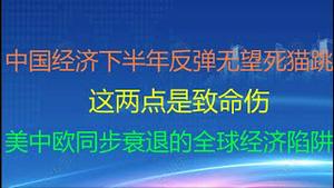 财经冷眼：中国经济下半年反弹无望死猫跳，这两点是致命伤！美中欧罕见同步衰退，全球经济大麻烦来了！（20210902第613期）