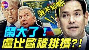 28点乌俄和平计划闹乌龙！川普政府分裂，卢比奥不知情?! 这个人串通俄罗斯, 制定亲俄和平计划！#真飞 #真观点