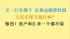 又一巨头倒下，后果远超碧桂园！惨烈！资产和汇率一个都不保！(20230815第1090期)