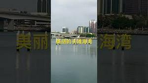 美丽的长滩海湾