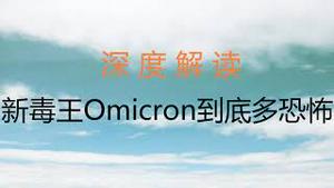 财经冷眼：深度！新毒王Omicron到底多恐怖？到底意味着什么？深入浅出讲一次，让你听懂！（20211128第680期）