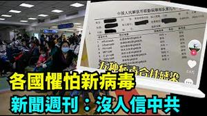 「越演越烈！竞相否定『神秘肺炎』与已知任何病体相关 ⋯⋯」No.03（11/27/23）