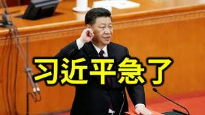 习近平急了！公开向党内政敌亮刀。遭制裁高官竟向美国示好。高官夫人心乱