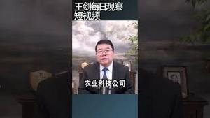 淤泥拍出天价的秘密/王剑每日观察 #shortsfeed #shortsvideo #shortsviral