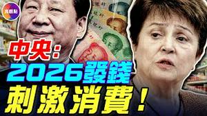 中央经济会议：2026发钱提振内需！IMF警告：中国畸形「世界工厂」，恐致1929年大萧条重演！二战后「世界工厂」美国，做了哪些事，开启黄金30年？#真飞 #真观点