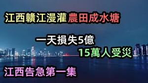 2021年江西第一号洪水已到，受灾15万人|农民再次称百年一遇天气苦不堪言|几万亩农作物变成水塘|南昌赣江水漫河堤|#2021水灾#2021洪峰#最新洪峰#南昌赣江#江西水灾#98洪灾