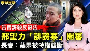 告官谋杀反被告 邢望力「诽谤案」开审；蔬果被特权垄断 长春封城菜价高涨；日专家：中俄朝合作 对世界威胁进入新阶段；市议员欢迎神韵重新莅临多伦多。【 #环球直击 】｜ #新唐人电视台