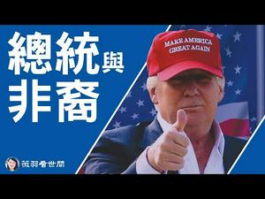 【第175期】两个美国总统的故事。林肯与川普，对非裔美国人贡献了什么？| 薇羽看世间 20201103