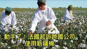 再难左右逢缘，四大跨国公司使用新疆棉，遭法国反恐机构起诉！（东方时评2021/7/2）