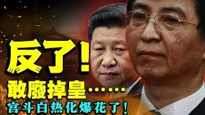 王沪宁借民间声浪公开对抗习近平？刘强东、刘鹤、胡锡进纷纷作证：倒车割韭菜、窝里斗速度又加快了！（老北京茶馆:第559集:2021:09:08）