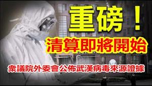 重磅!众议院外委会公布武汉病毒来源证据;纽约时报神逻辑:改变大选结果等于分裂国家《建民论推墙1347》