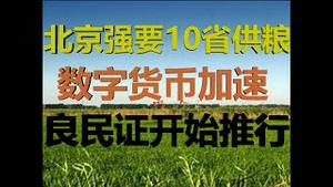 财经冷眼：北京强要10省特大危机下供粮，数字货币加速，良民证开始推行！（20200910第330期）