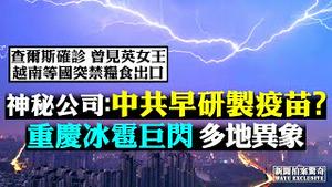 🎯大起底！FBI曾约谈「美军是毒源」的传言者；真正病毒来自德国？武汉墓地外排大队，中南医生：街上毒源多；中国快筛检疫错率80%！川习通话，中共态度转：同舟共济；美再加关税 | 新闻拍案惊奇 大宇