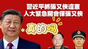 习近平抓张又侠违宪，人大紧急开会保张又侠。真的吗？2026.02.06NO3300#习近平#张又侠#刘振立
