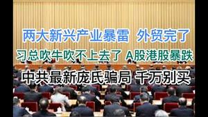 突发！两大新兴产业暴雷，外贸彻底完蛋！习总吹牛吹不下去了，A股港股暴跌！中共最新空前庞氏骗局出炉，千万不要买！(20241213第1322期)