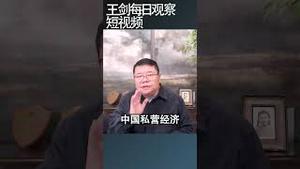 彼得森经济研究所中国国进民退状况的报告/王剑每日观察 #shortsvideo #shortsfeed #shortsviral