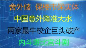 财经冷眼：最新！中国意外降准大放水，经济不行了，舍外储 ，保楼市保实体？杠杆玩砸，两家最牛3000亿级校企破产，内斗堪比宫斗剧！（20210710第575期）