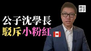 太丢人了！中国留学生在荷兰怒撕“反动“海报，谎话连篇被揭穿！加拿大反贼粉红大辩论，多伦多大学公子沈学长给你们上一课…