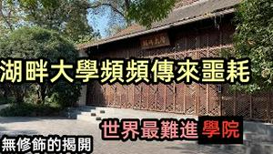 隐居山林的湖畔大学，曾是世界最难进的大学|马云为首的圈子联盟|湖畔大学改名为湖畔创研中心|#富豪学校#隐藏的学校#湖畔大学#CC subtitles added