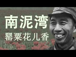 南泥湾的那段革命历史竟是鸦片历史（历史上的今天 20180620第114期）