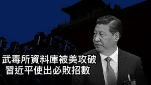 藏不住了！武毒所绝密资料库被美攻破；急火攻心，习近平表态“跟他们拼了”！ （一平论政2021/8/8)