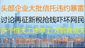 财经冷眼：突发暴雷！5000亿巨头大批信托违约！多个恒大工地停工，股债双杀，刘鹤开会商救助方案？传再征新税抢钱吓坏网民！ 又一国际巨头停宣布止投资，中国政府害怕了！（20210812第600期）