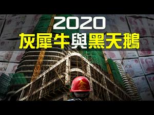 2020中国经济的灰犀牛与黑天鹅；2019或是未来10年最好的一年？| Jason 谢田 | 热点互动