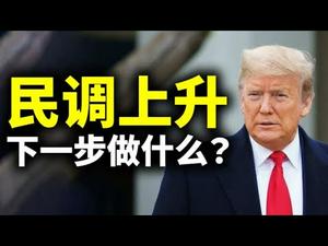 民调上升；川普下一步要做什么？周一弹劾川普，麦康奈尔的回应计划；我们下一步该做什么？（政论天下第325集 20210108）天亮时分