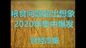 财经冷眼：数据报警！中国粮食问题超出想象，2020年将集中爆发！（20200318第186期）